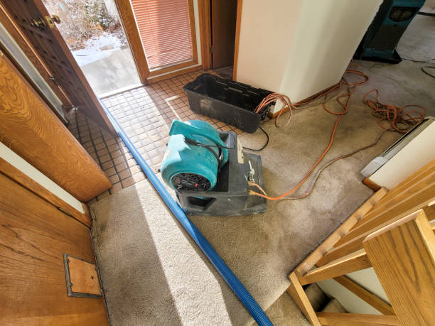 Best Flooded house restoration  in Bayshore, NC