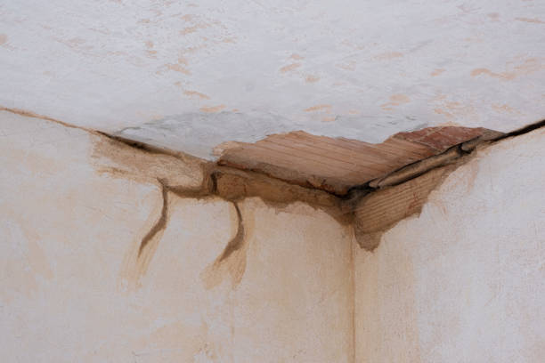 Best Mold removal after water damage  in Bayshore, NC