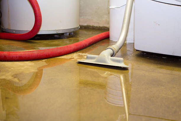 Best Water damage contractors near me  in Bayshore, NC