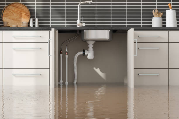 Best Water damage restoration insurance claims  in Bayshore, NC