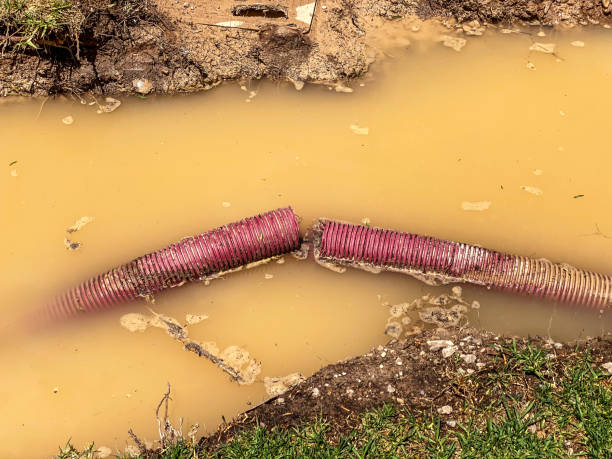 Best Emergency water damage restoration  in Bayshore, NC