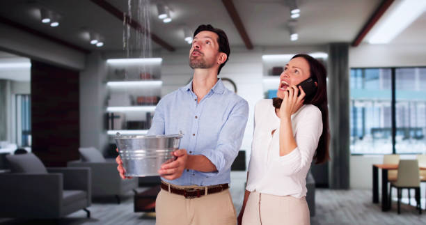 Best Water damage cleanup near me  in Bayshore, NC